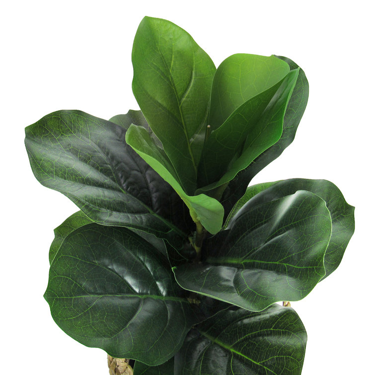 Primrue 20" Artificial Fiddle Leaf Fig Tree in Basket Wayfair
